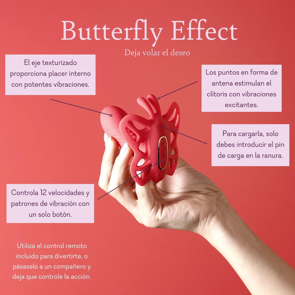 Butterfly Effect