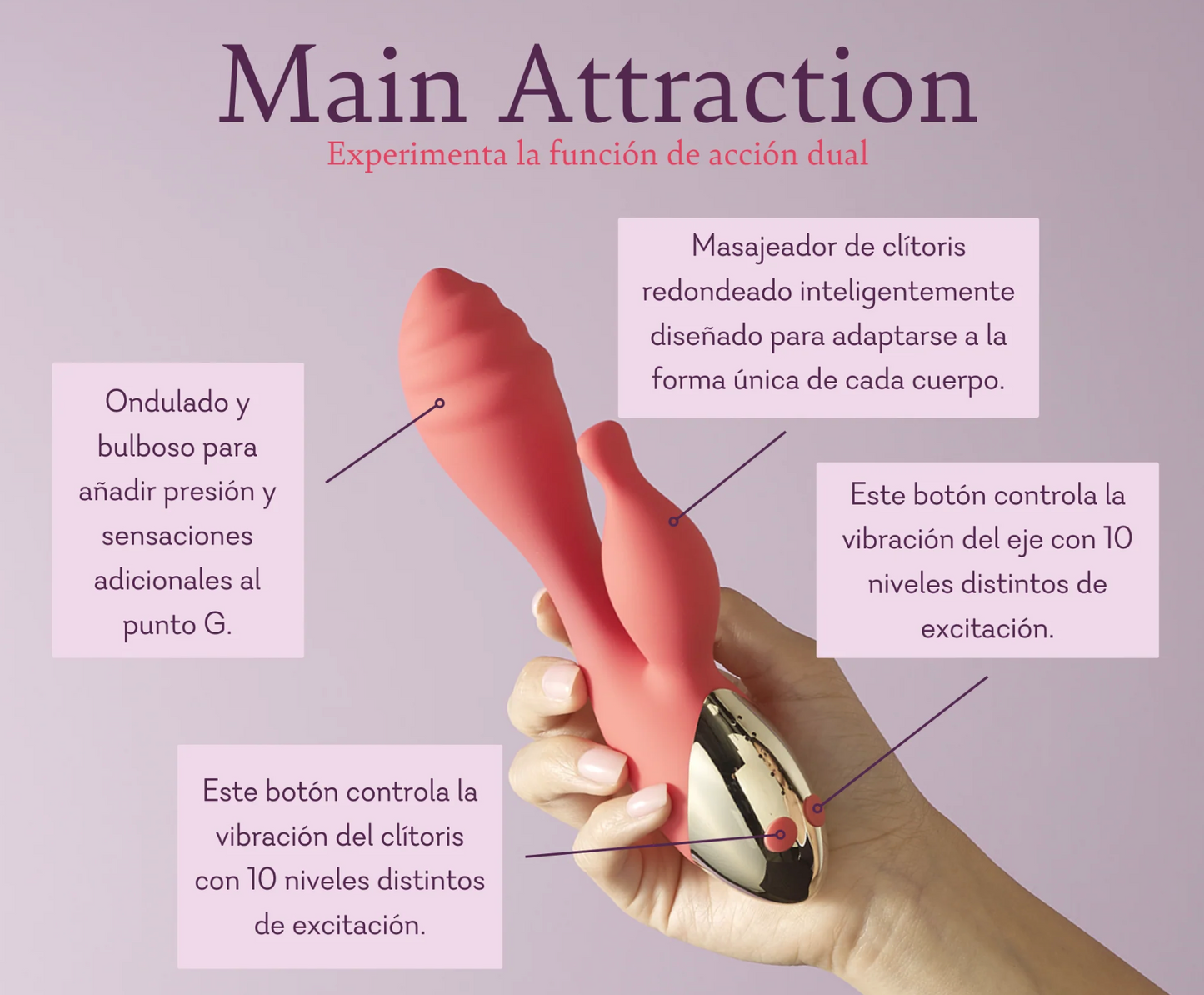 Main Attraction