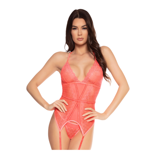 Mesh & Lace Garter Bustier Set